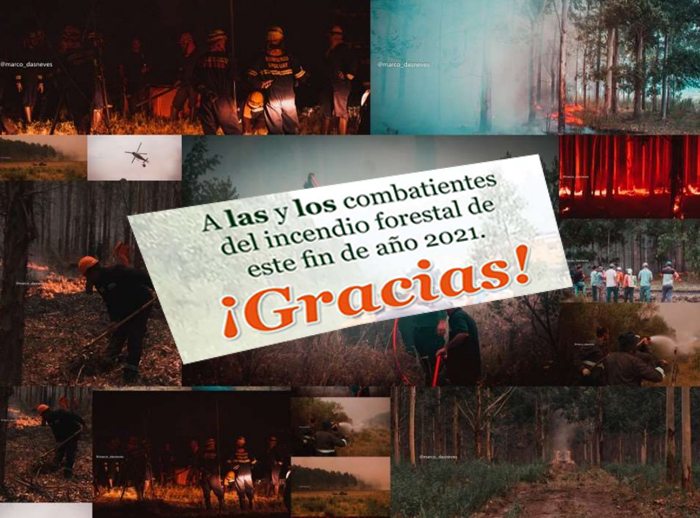 ¡Gracias!