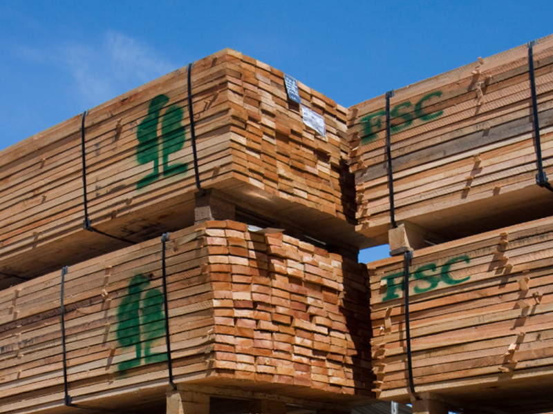 Forestal Caja Bancaria - Nuestros productos: EUCALYPTUS